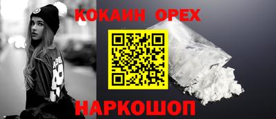гашик Ливны