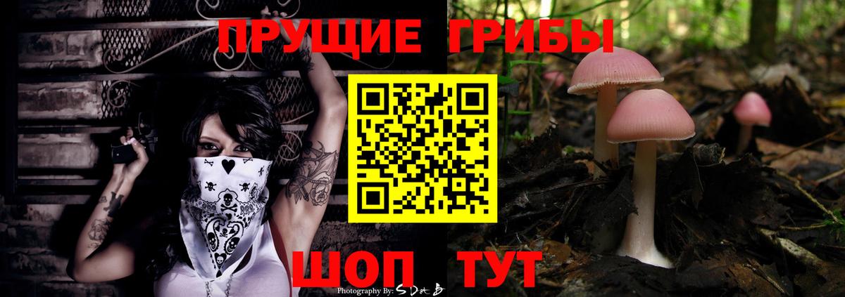 закладка  Вход с VPN  Шарыпово  Галлюциногенные грибы Magic Shrooms 